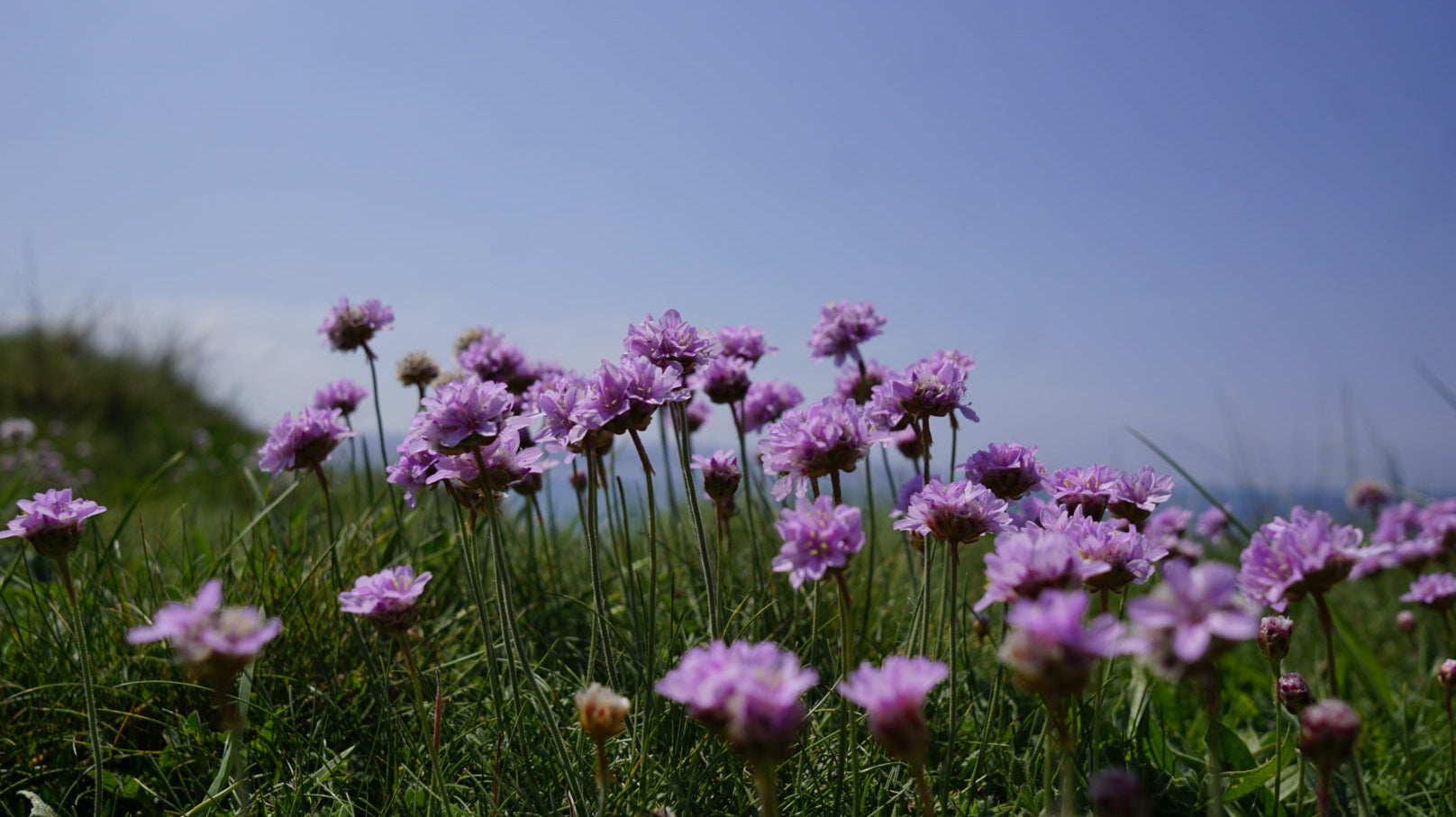 Looking after the future