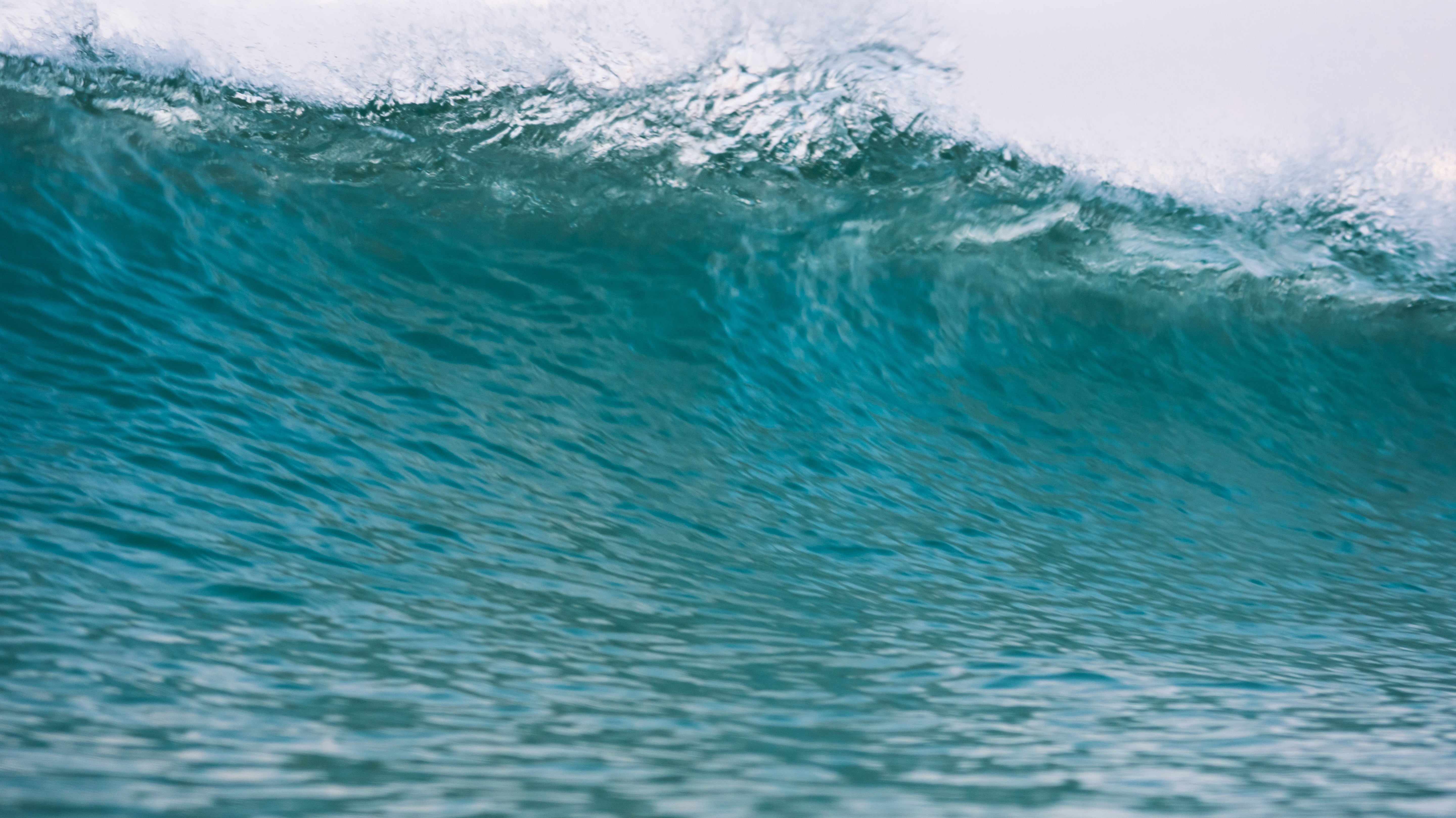 Winter Surfing Lessons and Hire – Stay Stoked All Year with Shore Surf School