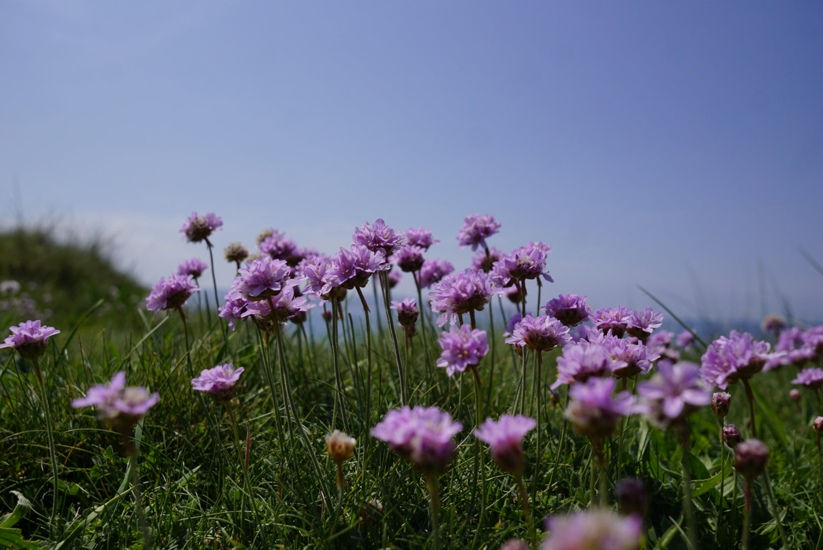 Looking after the future