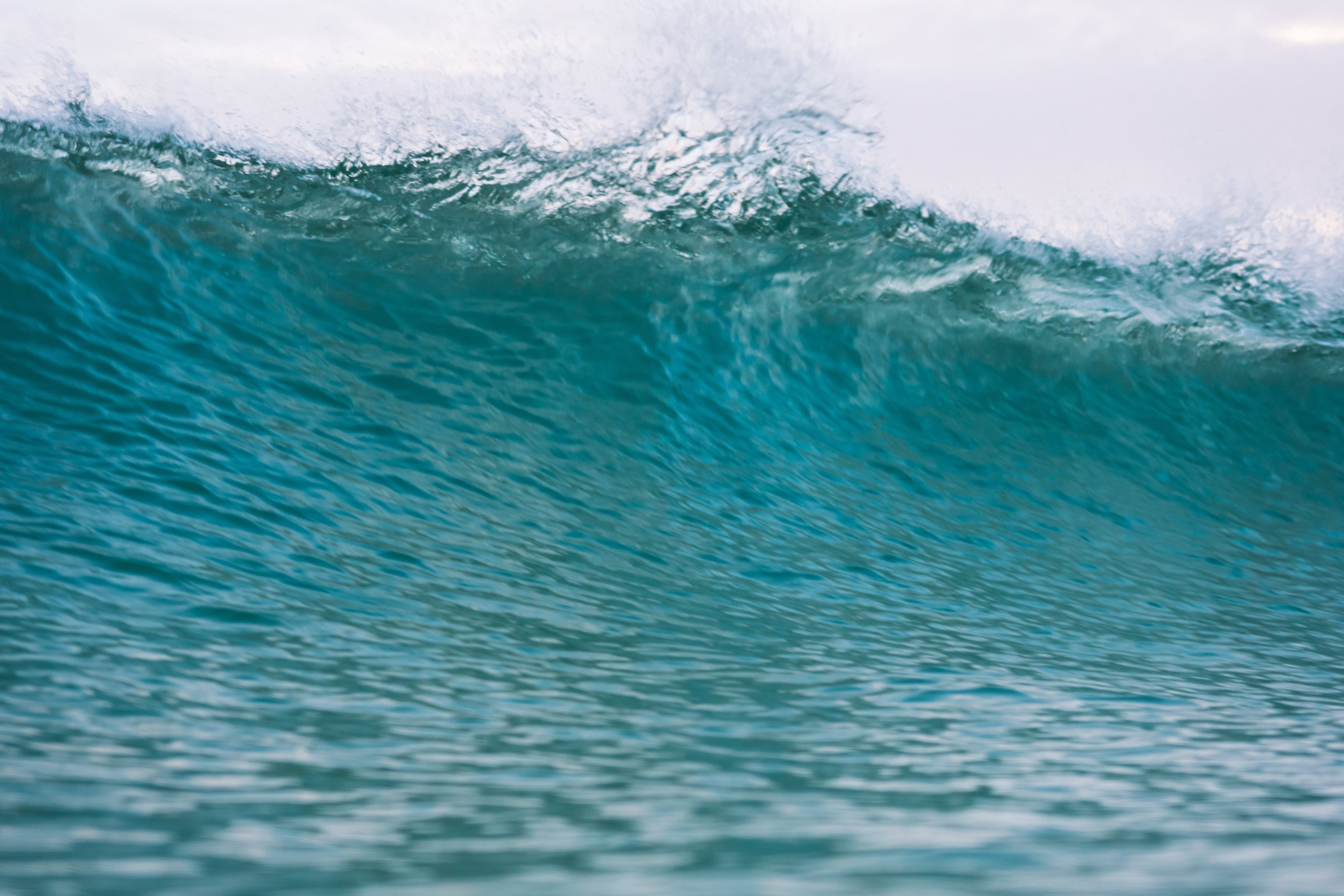 Winter Surfing Lessons and Hire – Stay Stoked All Year with Shore Surf School